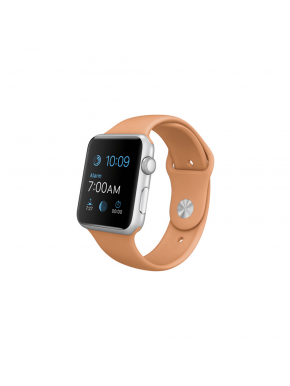 Apple Watch Series 3 Aluminum Case